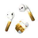 Air Pods 専用 デザインスキンシール airpods エアポッド apple アップル AirPods 第一世代(2016)airpods2 第二世代(...