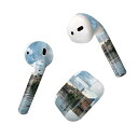 Air Pods 専用 デザインスキンシール airpods エアポッド apple アップル AirPods 第一世代(2016)airpods2 第二世代(...