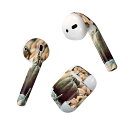 Air Pods 専用 デザインスキンシール airpods エアポッド apple アップル AirPods 第一世代(2016)airpods2 第二世代(...