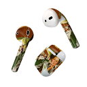 Air Pods 専用 デザインスキンシール airpods エアポッド apple アップル AirPods 第一世代(2016)airpods2 第二世代(...