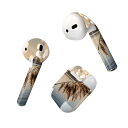 Air Pods 専用 デザインスキンシール airpods エアポッド apple アップル AirPods 第一世代(2016)airpods2 第二世代(...