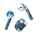 Air Pods 専用 デザインスキンシール airpods エアポッド apple アップル AirPods 第一世代(2016)airpods2 第二世代(...