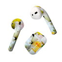 Air Pods 専用 デザインスキンシール airpods エアポッド apple アップル AirPods 第一世代(2016)airpods2 第二世代(...