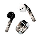 Air Pods 専用 デザインスキンシール airpods エアポッド apple アップル AirPods 第一世代(2016)airpods2 第二世代(...