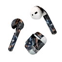 Air Pods 専用 デザインスキンシール airpods エアポッド apple アップル AirPods 第一世代(2016)airpods2 第二世代(2019)対応 イヤホン カバー デコレーション アクセサリー デコシール 023760 自転車 女性 人物