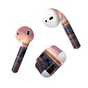 Air Pods 専用 デザインスキンシール airpods エアポッド apple アップル AirPods 第一世代(2016)airpods2 第二世代(...
