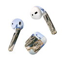 Air Pods 専用 デザインスキンシール airpods エアポッド apple アップル AirPods 第一世代(2016)airpods2 第二世代(...