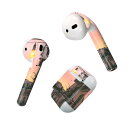 Air Pods 専用 デザインスキンシール airpods エアポッド apple アップル AirPods 第一世代(2016)airpods2 第二世代(...