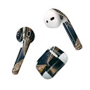 Air Pods 専用 デザインスキンシール airpods エアポッド apple アップル AirPods 第一世代(2016)airpods2 第二世代(...