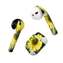 Air Pods 専用 デザインスキンシール airpods エアポッド apple アップル AirPods 第一世代(2016)airpods2 第二世代(...
