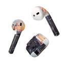 Air Pods 専用 デザインスキンシール airpods エアポッド apple アップル AirPods 第一世代(2016)airpods2 第二世代(...