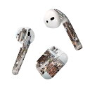 Air Pods 専用 デザインスキンシール airpods エアポッド apple アップル AirPods 第一世代(2016)airpods2 第二世代(...