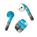 Air Pods 専用 デザインスキンシール airpods エアポッド apple アップル AirPods 第一世代(2016)airpods2 第二世代(...