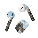 Air Pods 専用 デザインスキンシール airpods エアポッド apple アップル AirPods 第一世代(2016)airpods2 第二世代(...