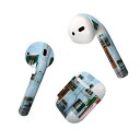 Air Pods 専用 デザインスキンシール airpods エアポッド apple アップル AirPods 第一世代(2016)airpods2 第二世代(...
