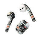 Air Pods 専用 デザインスキンシール airpods エアポッド apple アップル AirPods 第一世代(2016)airpods2 第二世代(...