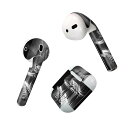 Air Pods 専用 デザインスキンシール airpods エアポッド apple アップル AirPods 第一世代(2016)airpods2 第二世代(...