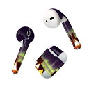Air Pods 専用 デザインスキンシール airpods エアポッド apple アップル AirPods 第一世代(2016)airpods2 第二世代(2019)対応 イヤホン カバー デコレーション アクセサリー デコシール 025586 キャンプ オーロラ 風景 森林