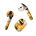 Air Pods 専用 デザインスキンシール airpods エアポッド apple アップル AirPods 第一世代(2016)airpods2 第二世代(...
