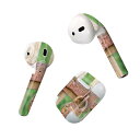 Air Pods 専用 デザインスキンシール airpods エアポッド apple アップル AirPods 第一世代(2016)airpods2 第二世代(...