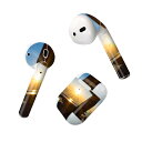 Air Pods 専用 デザインスキンシール airpods エアポッド apple アップル AirPods 第一世代(2016)airpods2 第二世代(...