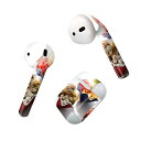 Air Pods 専用 デザインスキンシール airpods エアポッド apple アップル AirPods 第一世代(2016)airpods2 第二世代(...