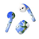 Air Pods 専用 デザインスキンシール airpods エアポッド apple アップル AirPods 第一世代(2016)airpods2 第二世代(...