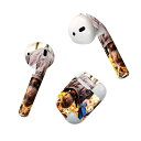 Air Pods 専用 デザインスキンシール airpods エアポッド apple アップル AirPods 第一世代(2016)airpods2 第二世代(...