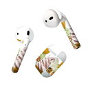 Air Pods 専用 デザインスキンシール airpods エアポッド apple アップル AirPods 第一世代(2016)airpods2 第二世代(2019)対応 イヤホン カバー デコレーション アクセサリー デコシール 025856 アイスクリーム カラフル スイーツ