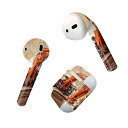 Air Pods 専用 デザインスキンシール airpods エアポッド apple アップル AirPods 第一世代(2016)airpods2 第二世代(...