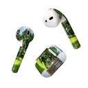 Air Pods 専用 デザインスキンシール airpods エアポッド apple アップル AirPods 第一世代(2016)airpods2 第二世代(...