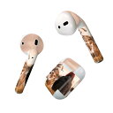 Air Pods 専用 デザインスキンシール airpods エアポッド apple アップル AirPods 第一世代(2016)airpods2 第二世代(...