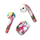 Air Pods 専用 デザインスキンシール airpods エアポッド apple アップル AirPods 第一世代(2016)airpods2 第二世代(...