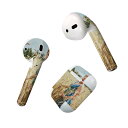Air Pods 専用 デザインスキンシール airpods エアポッド apple アップル AirPods 第一世代(2016)airpods2 第二世代(2019)対応 イヤホン カバー デコレーション アクセサリー デコシール 025999 女性 自然 秋 植物