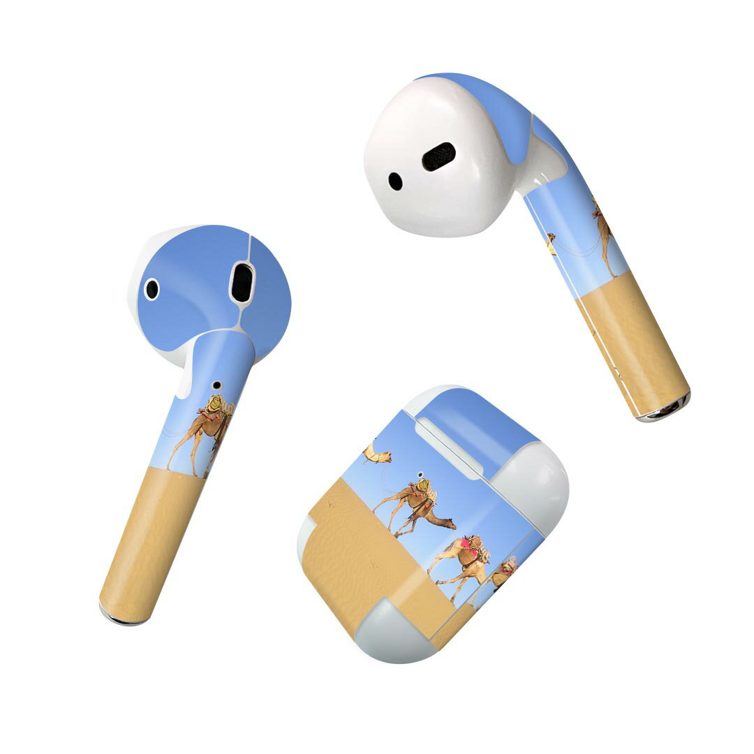 Air Pods 専用 デザインスキンシール airpods エアポッド apple アップル AirPods 第一世代（2016）air..