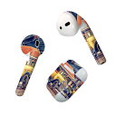Air Pods 専用 デザインスキンシール airpods エアポッド apple アップル AirPods 第一世代(2016)airpods2 第二世代(...