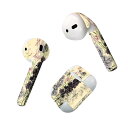 Air Pods 専用 デザインスキンシール airpods エアポッド apple アップル AirPods 第一世代(2016)airpods2 第二世代(...
