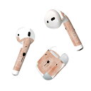 Air Pods 専用 デザインスキンシール airpods エアポッド apple アップル AirPods 第一世代(2016)airpods2 第二世代(...