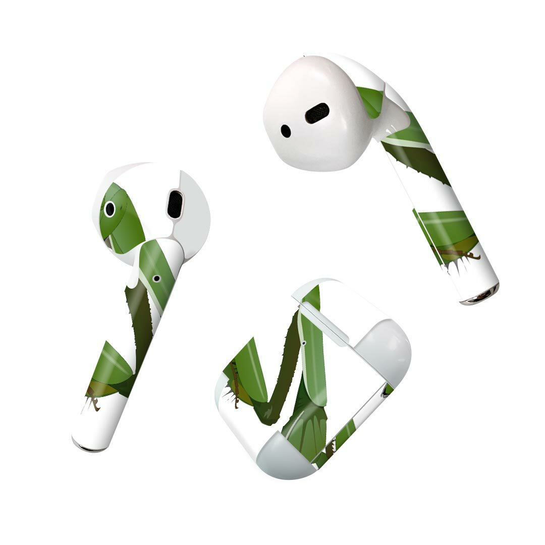 Air Pods 専用 デザインスキンシール airpods エアポッド apple アップル AirPods 第一世代（2016）air..