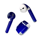 Air Pods 専用 デザインスキンシール airpods エアポッド apple アップル AirPods 第一世代(2016)airpods2 第二世代(...
