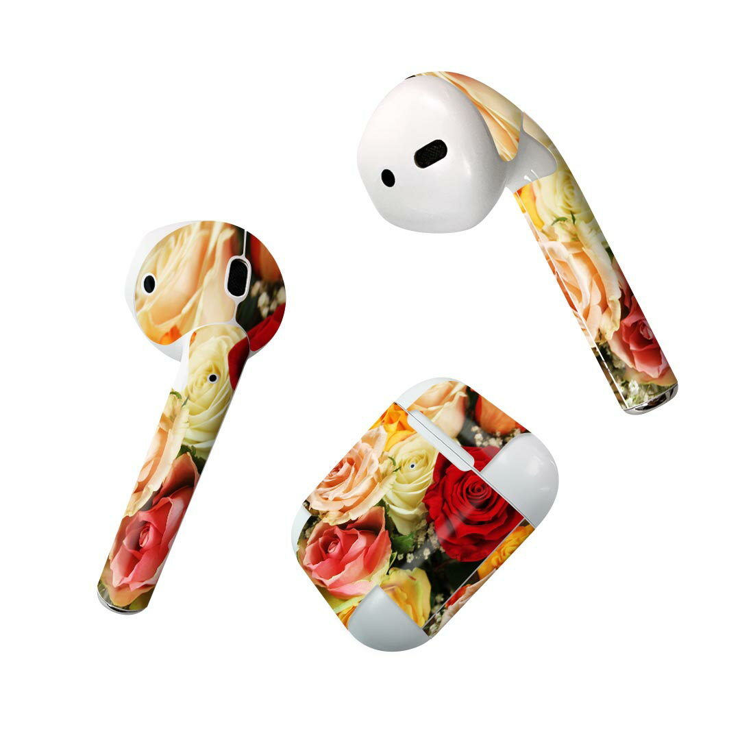 Air Pods 専用 デザインスキンシール airpods エアポッド apple アップル AirPods 第一世代（2016）air..