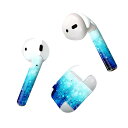 Air Pods 専用 デザインスキンシール airpods エアポッド apple アップル AirPods 第一世代(2016)airpods2 第二世代(...