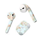 Air Pods 専用 デザインスキンシール airpods エアポッド apple アップル AirPods 第一世代(2016)airpods2 第二世代(...