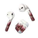 Air Pods 専用 デザインスキンシール airpods エアポッド apple アップル AirPods 第一世代(2016)airpods2 第二世代(...