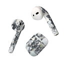 Air Pods 専用 デザインスキンシール airpods エアポッド apple アップル AirPods 第一世代(2016)airpods2 第二世代(...
