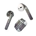 Air Pods 専用 デザインスキンシール airpods エアポッド apple アップル AirPods 第一世代(2016)airpods2 第二世代(...