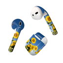 Air Pods 専用 デザインスキンシール airpods エアポッド apple アップル AirPods 第一世代(2016)airpods2 第二世代(...