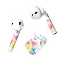Air Pods 専用 デザインスキンシール airpods エアポッド apple アップル AirPods 第一世代(2016)airpods2 第二世代(...