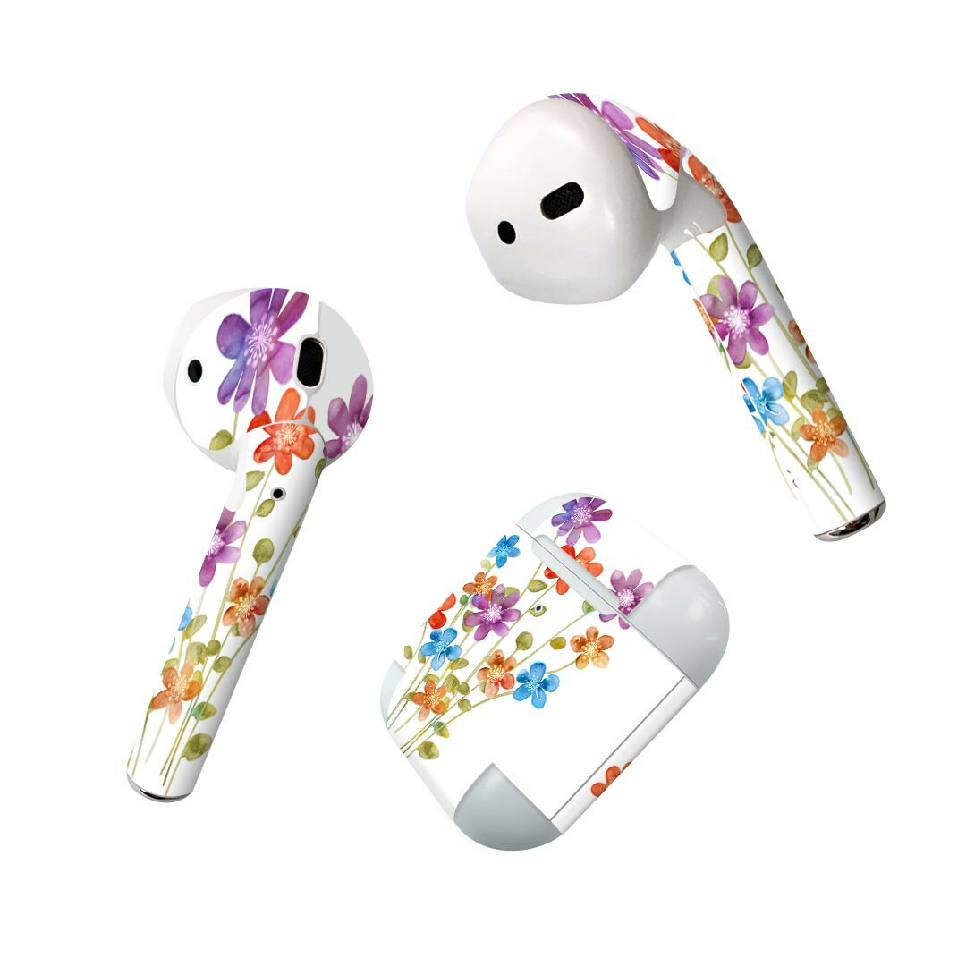 Air Pods  ǥ󥹥󥷡 airpods ݥå apple åץ AirPods 2016airpods2 2019б ۥ С ǥ졼 ꡼ ǥ 010003 ̡Ѹ