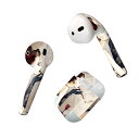 Air Pods 専用 デザインスキンシール airpods エアポッド apple アップル AirPods 第一世代(2016)airpods2 第二世代(...